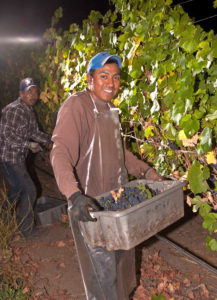 Harvest worker