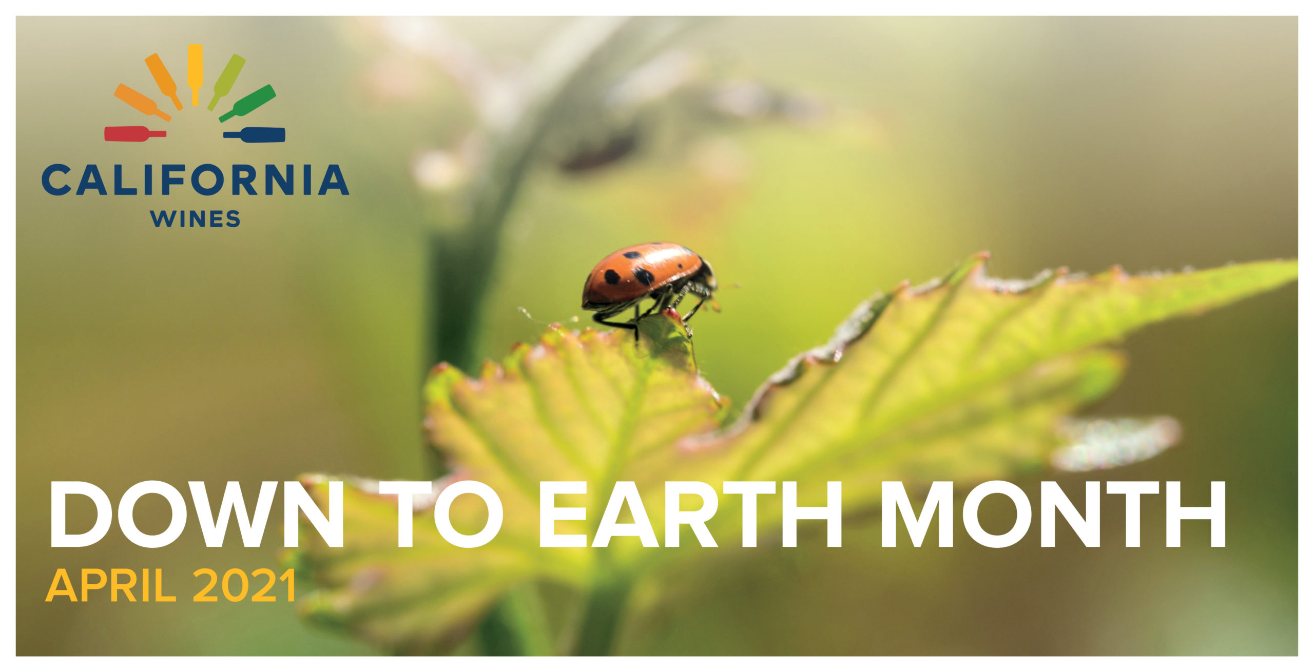 D2E.Identity.2021.Banner