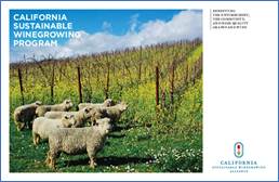 Sustainable Winegrowing program brochure cover