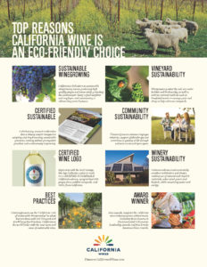 Top Reasons California Wine is an Eco-Friendly Choice