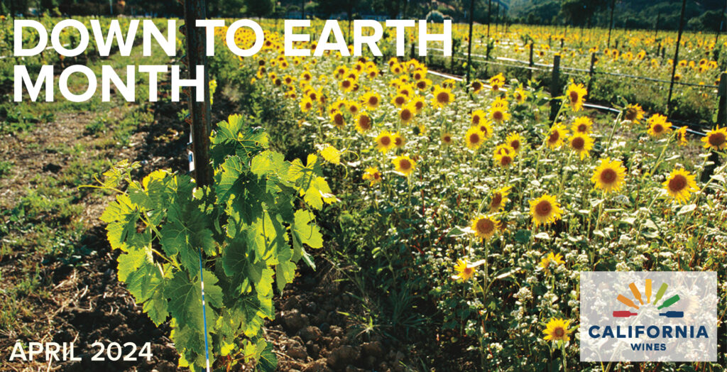 Down to Earth Month banner graphic of vineyard & sunflowers