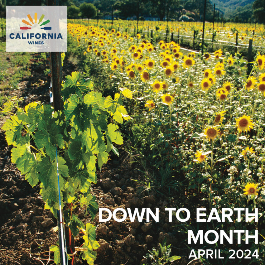 Down to Earth Month square graphic of vineyard & sunflowers