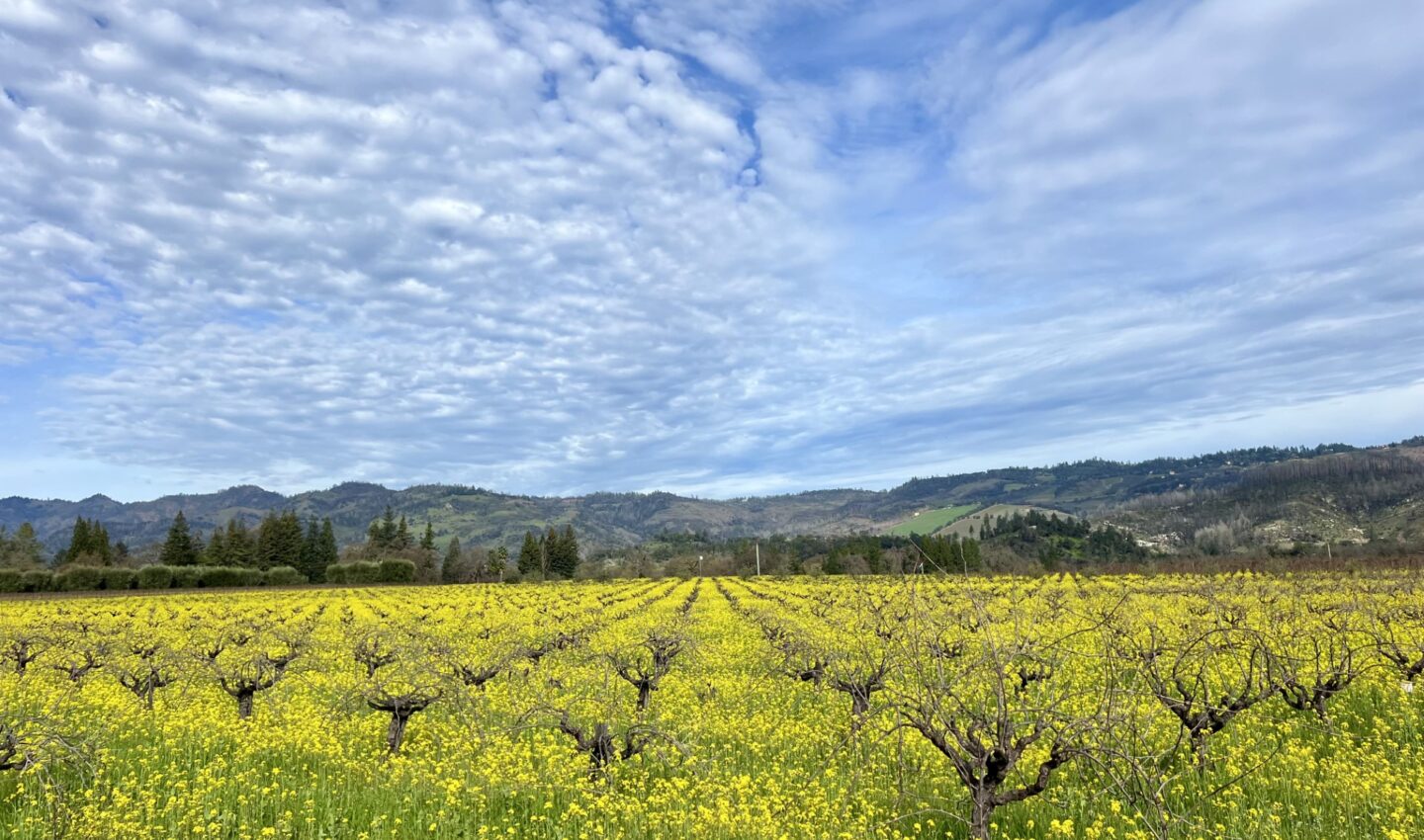 2023 Spring Board of Directors Meeting Wine Institute