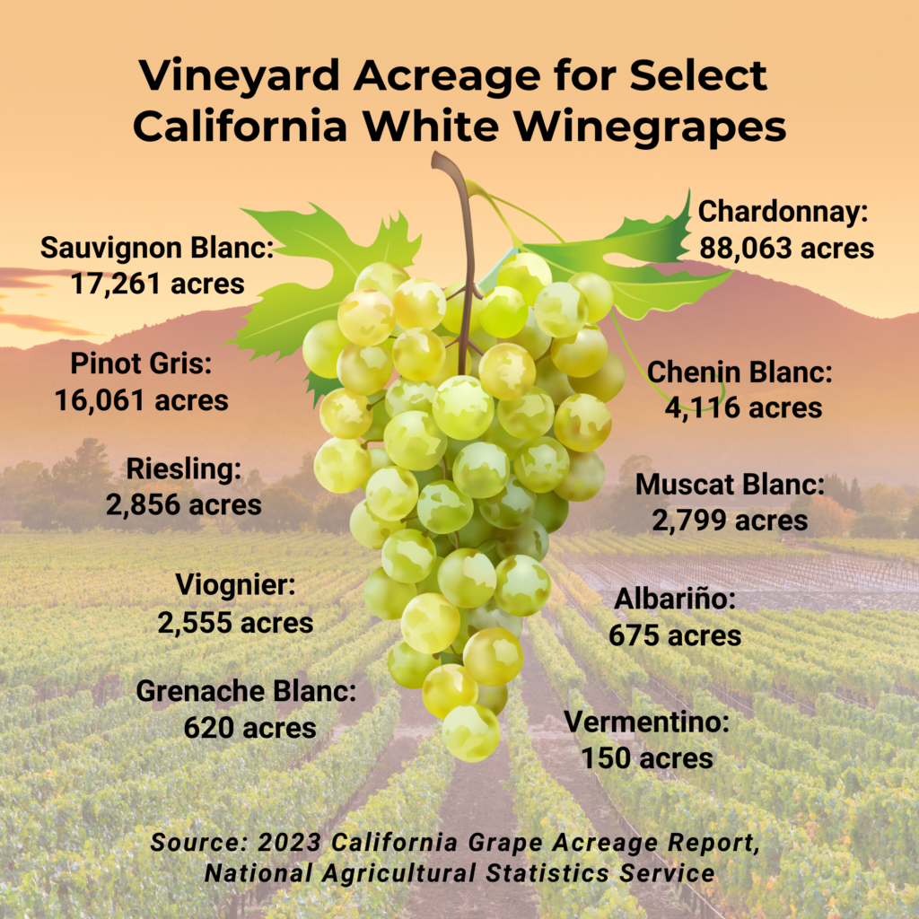 Infographic showing acreage of specific white wine varieties